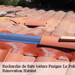 Recherche de fuite toiture  72330