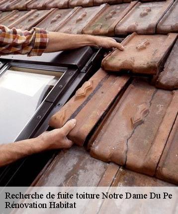 Recherche de fuite toiture  notre-dame-du-pe-72300 Rénovation Habitat 