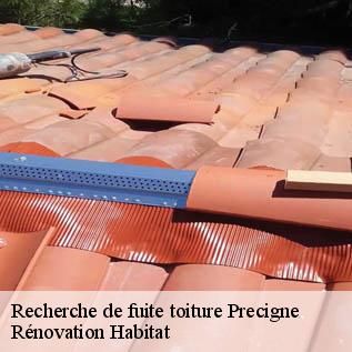 Recherche de fuite toiture  72300