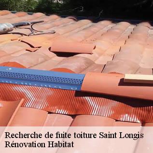 Recherche de fuite toiture  72600