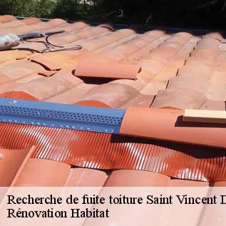 Recherche de fuite toiture  72600