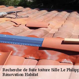 Recherche de fuite toiture  72460