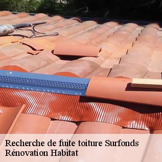Recherche de fuite toiture  72370