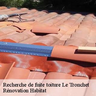 Recherche de fuite toiture  72170