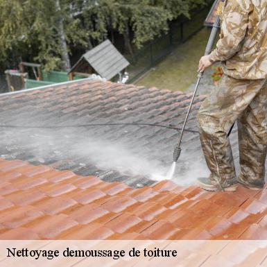 Nettoyage demoussage de toiture  72230