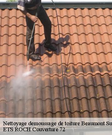 Nettoyage demoussage de toiture  beaumont-sur-deme-72340 ETS ROCH Couverture 72