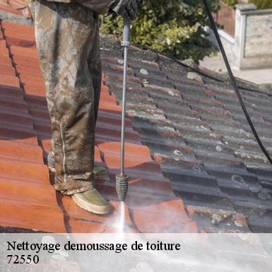 Nettoyage demoussage de toiture  72550