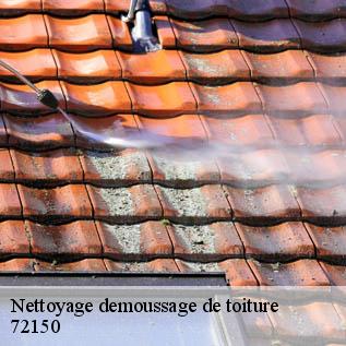 Nettoyage demoussage de toiture  72150