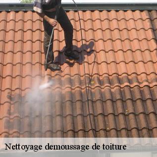 Nettoyage demoussage de toiture  72150