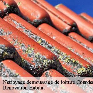 Nettoyage demoussage de toiture  72150