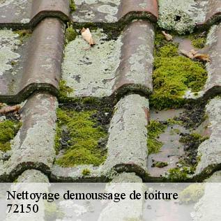 Nettoyage demoussage de toiture  72150