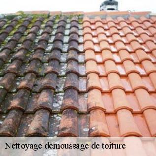 Nettoyage demoussage de toiture  72150