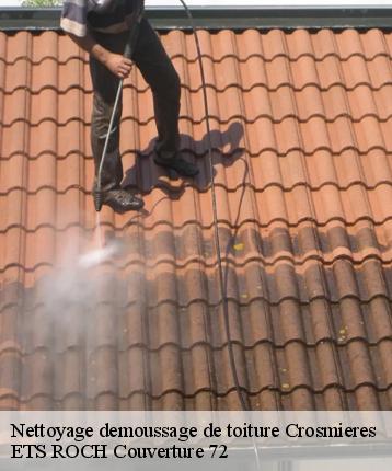 Nettoyage demoussage de toiture  crosmieres-72200 ETS ROCH Couverture 72