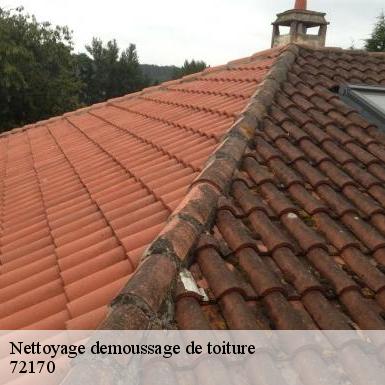 Nettoyage demoussage de toiture  72170