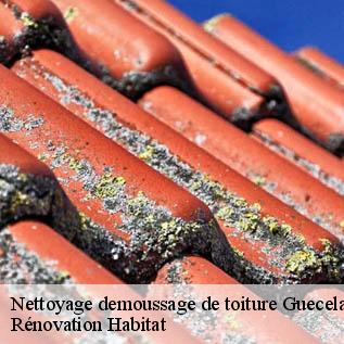 Nettoyage demoussage de toiture  72230