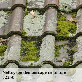 Nettoyage demoussage de toiture  72230