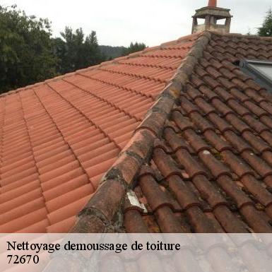 Nettoyage demoussage de toiture  72670