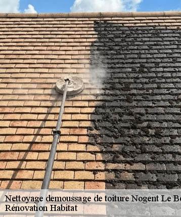 Nettoyage demoussage de toiture  nogent-le-bernard-72110 Rénovation Habitat 