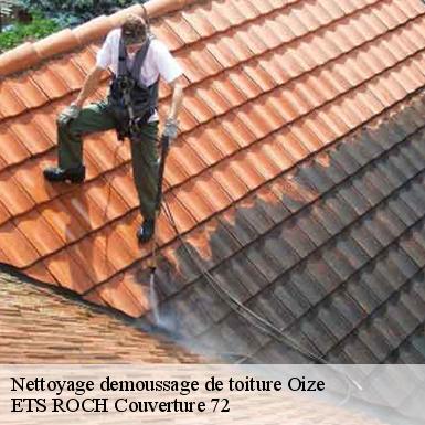 Nettoyage demoussage de toiture  72330