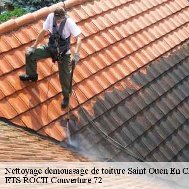 Nettoyage demoussage de toiture  72350