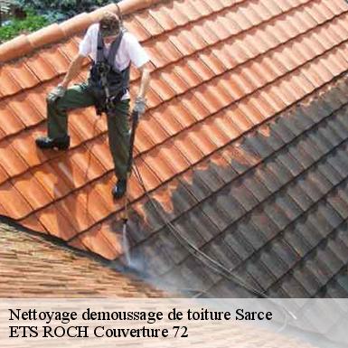 Nettoyage demoussage de toiture  72360