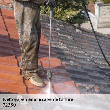 Nettoyage demoussage de toiture  72380