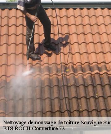 Nettoyage demoussage de toiture  souvigne-sur-sarthe-72300 ETS ROCH Couverture 72