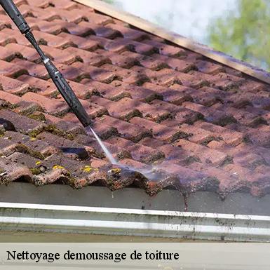 Nettoyage demoussage de toiture  72430