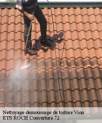 Nettoyage demoussage de toiture  vion-72300 ETS ROCH Couverture 72