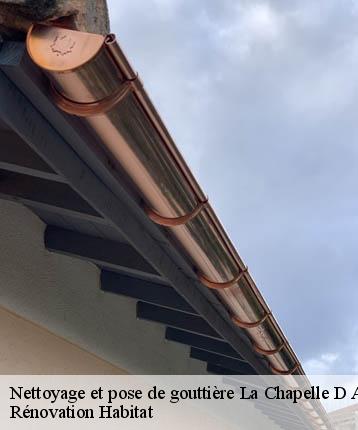 Nettoyage et pose de gouttière  la-chapelle-d-aligne-72300 Rénovation Habitat 