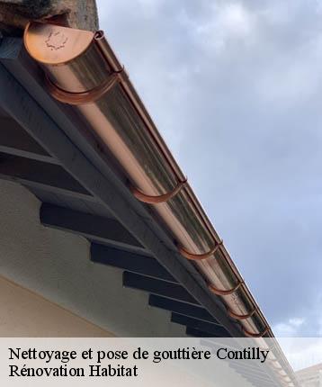 Nettoyage et pose de gouttière  contilly-72600 Rénovation Habitat 