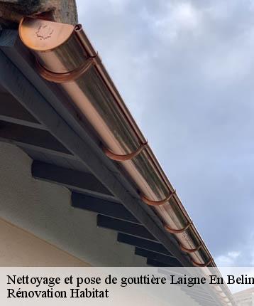 Nettoyage et pose de gouttière  laigne-en-belin-72220 Rénovation Habitat 