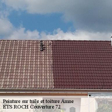 Peinture sur tuile et toiture  72540