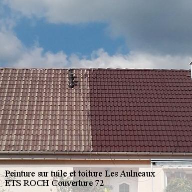 Peinture sur tuile et toiture  72670