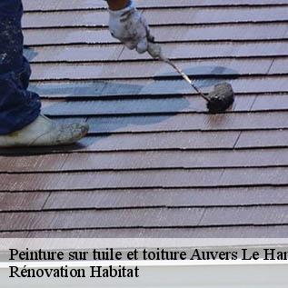 Peinture sur tuile et toiture  72300