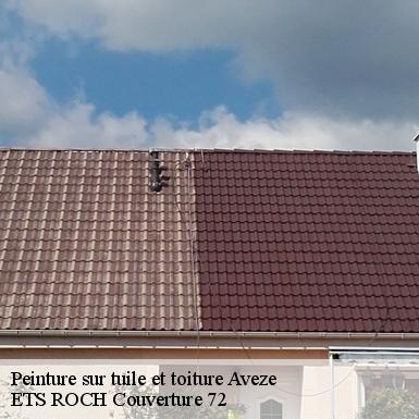 Peinture sur tuile et toiture  72400