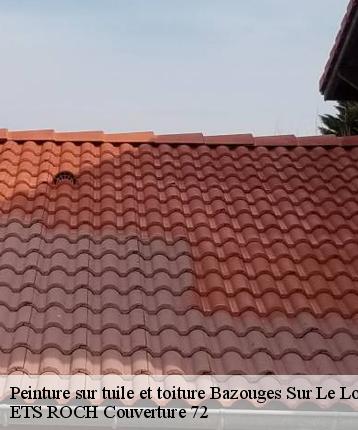 Peinture sur tuile et toiture  bazouges-sur-le-loir-72200 ETS ROCH Couverture 72