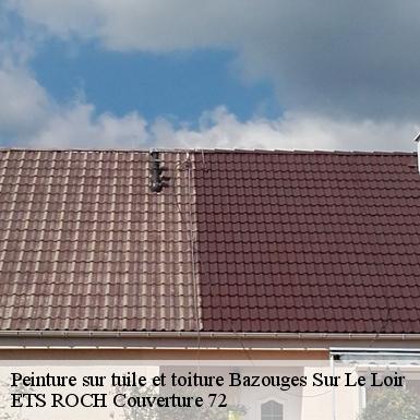 Peinture sur tuile et toiture  72200