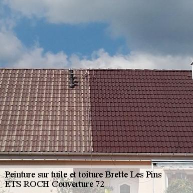 Peinture sur tuile et toiture  72250