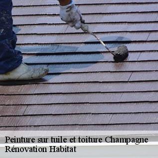 Peinture sur tuile et toiture  72470