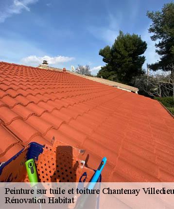 Peinture sur tuile et toiture  chantenay-villedieu-72430 Rénovation Habitat 