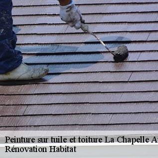 Peinture sur tuile et toiture  72800