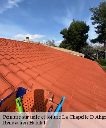 Peinture sur tuile et toiture  la-chapelle-d-aligne-72300 Rénovation Habitat 