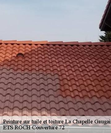 Peinture sur tuile et toiture  la-chapelle-gaugain-72310 ETS ROCH Couverture 72