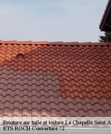 Peinture sur tuile et toiture  la-chapelle-saint-aubin-72650 ETS ROCH Couverture 72