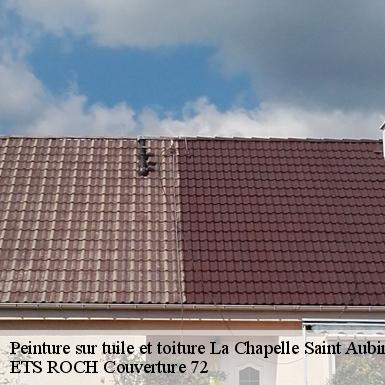 Peinture sur tuile et toiture  72650