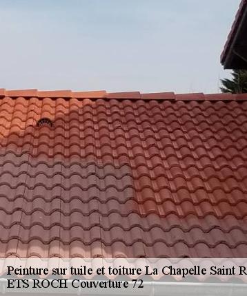 Peinture sur tuile et toiture  la-chapelle-saint-remy-72160 ETS ROCH Couverture 72