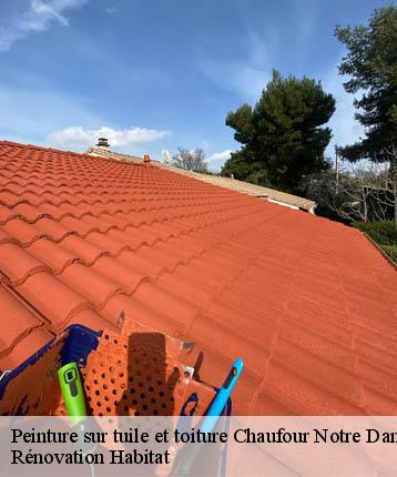 Peinture sur tuile et toiture  chaufour-notre-dame-72550 Rénovation Habitat 