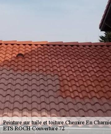 Peinture sur tuile et toiture  chemire-en-charnie-72540 ETS ROCH Couverture 72