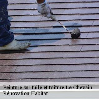 Peinture sur tuile et toiture  72610